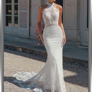 Paloma- Sincerity by Justin Alexander